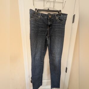 Torrid Classic Blue 5 Pocket Skinny Jeans